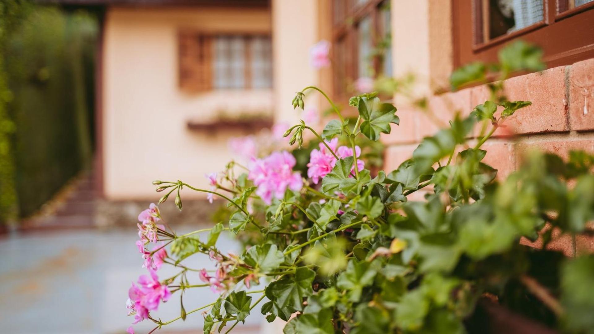 Chale Florestal - Tranquilidade E Conforto Proximo Ao Horto Florestal Holiday home Campos do Jordao